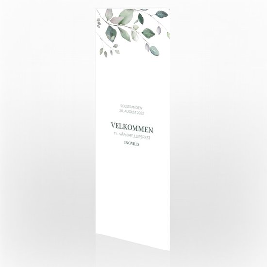 Festprogram, 112805, hovedbilde nr. 1