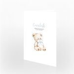 Gaveliste baby, 30453a