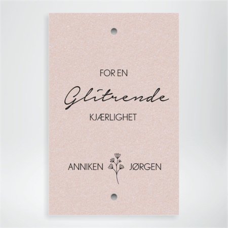 Produktbilde Stjerneskudd-lapp, x12110